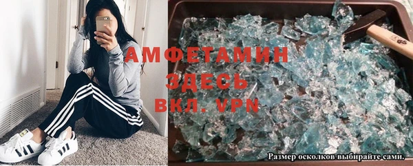 ГАЛЛЮЦИНОГЕННЫЕ ГРИБЫ Балахна