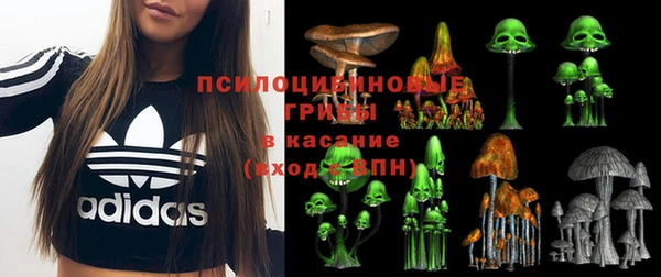 мдпв Баксан